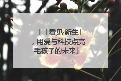 「看见·新生」，用爱与科技点亮毛孩子的未来